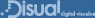 a website by Disual